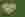 Herz aus Gras (Fotolia) Auf dem Bild sieht man ein Herz aus Gänseblümchen.