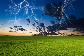 (Foto: klagyivik - Fotolia)